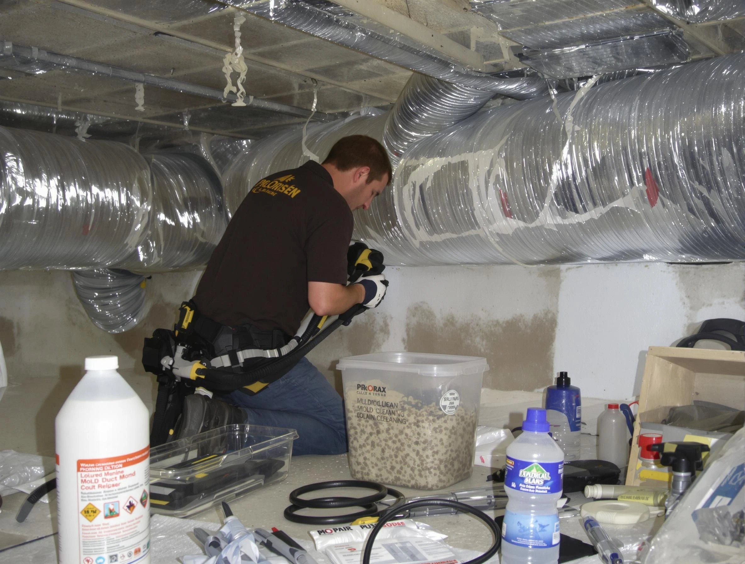 Paradise Valley Air Duct Cleaning specialist performing professional mold removal from air ducts in Paradise Valley